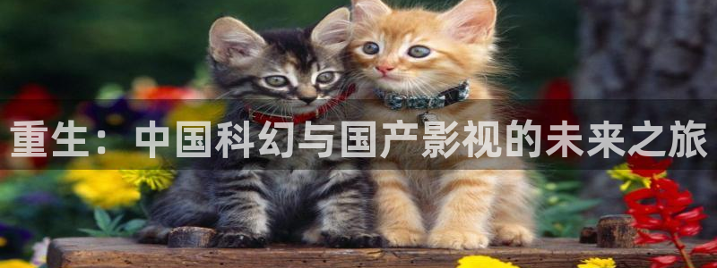 神马电影午夜麻豆