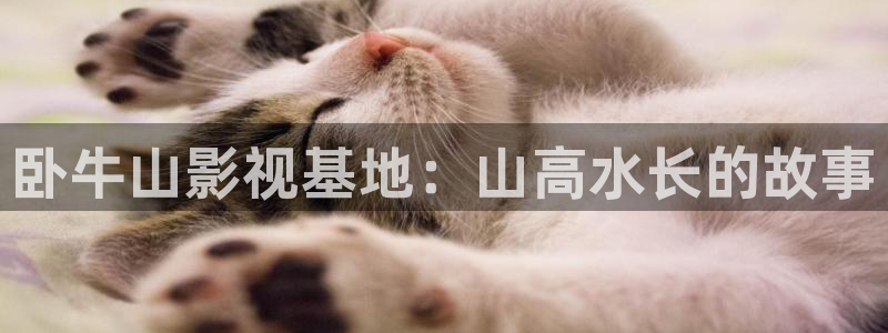 麻豆影视日韩一区：卧牛山影视基地：山高水长的故事