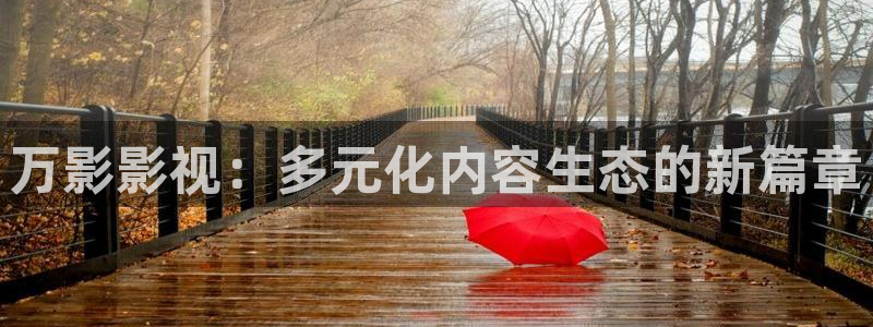 天美传媒麻豆精东影业：万影影视：多元化内容生态的新篇章